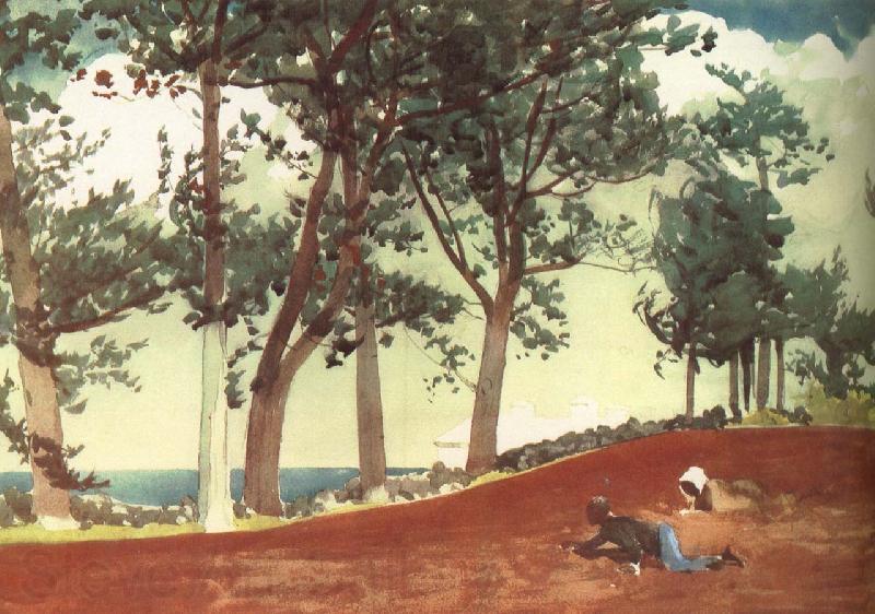 Winslow Homer Houses and trees Spain oil painting art